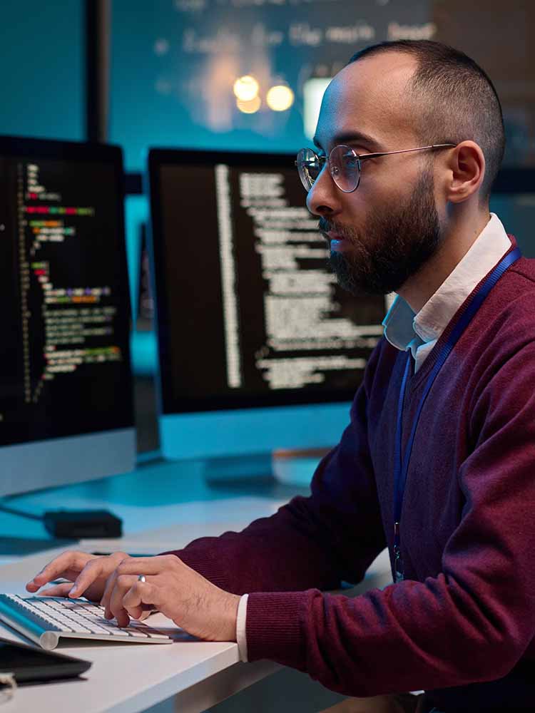 Cybersecurity Professional